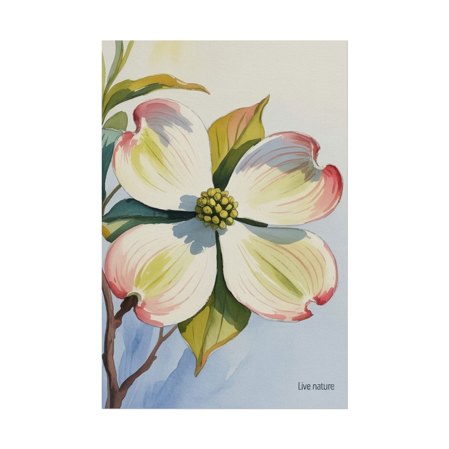 North Carolina Dogwood Watercolor Art Print