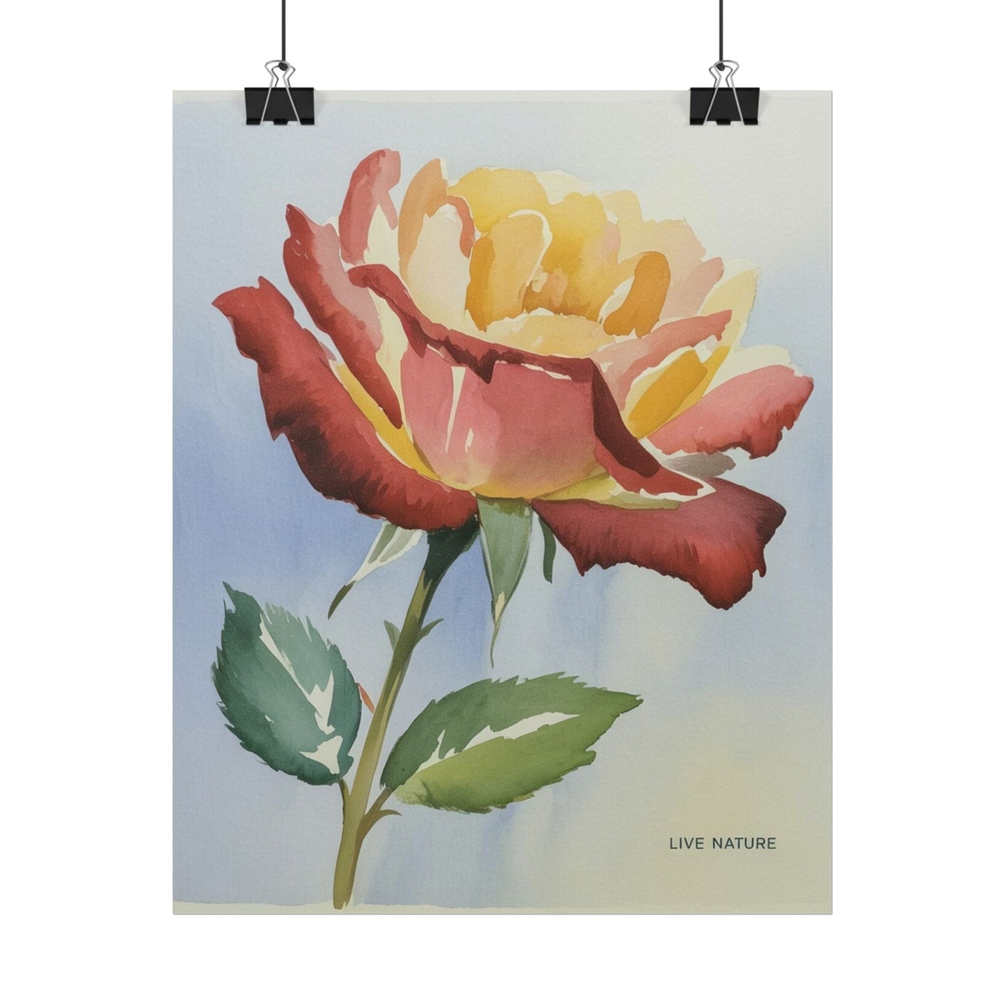 New York State Rose Watercolor Art Print