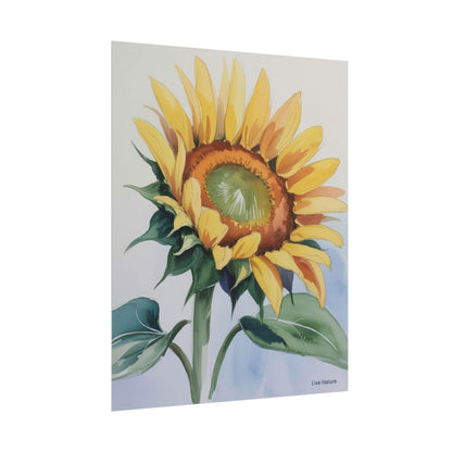 Kansas Sunflower Watercolor Art Print 'Live Nature