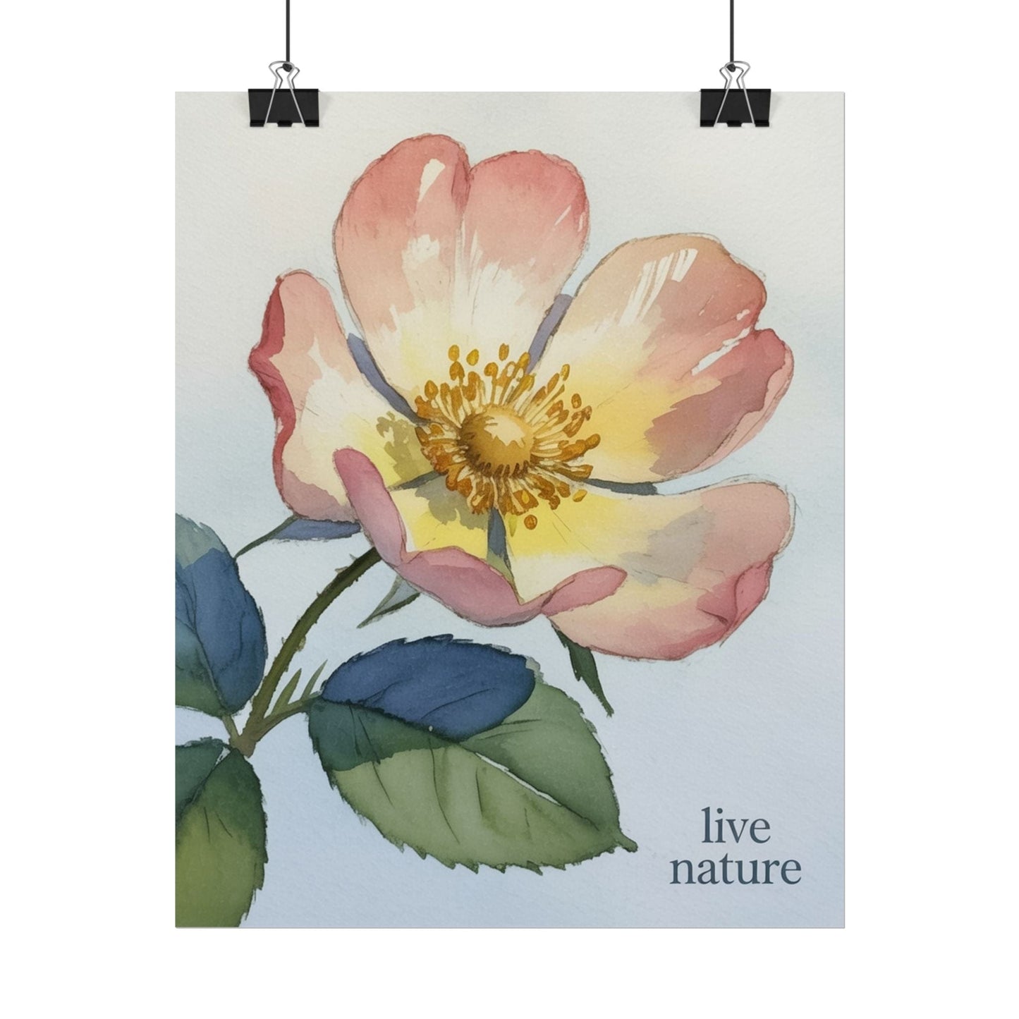 Wild Prairie Rose Watercolor Print with 'Live Nature' Text