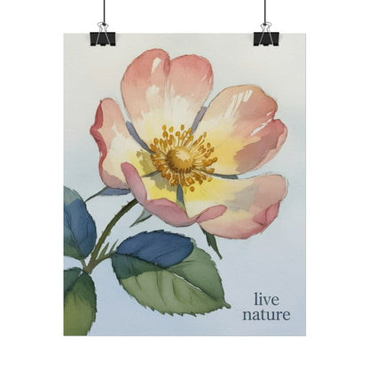 Wild Prairie Rose Watercolor Print with 'Live Nature' Text