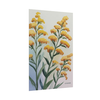 Goldenrod Watercolor Botanical Art Print 'Live Nature