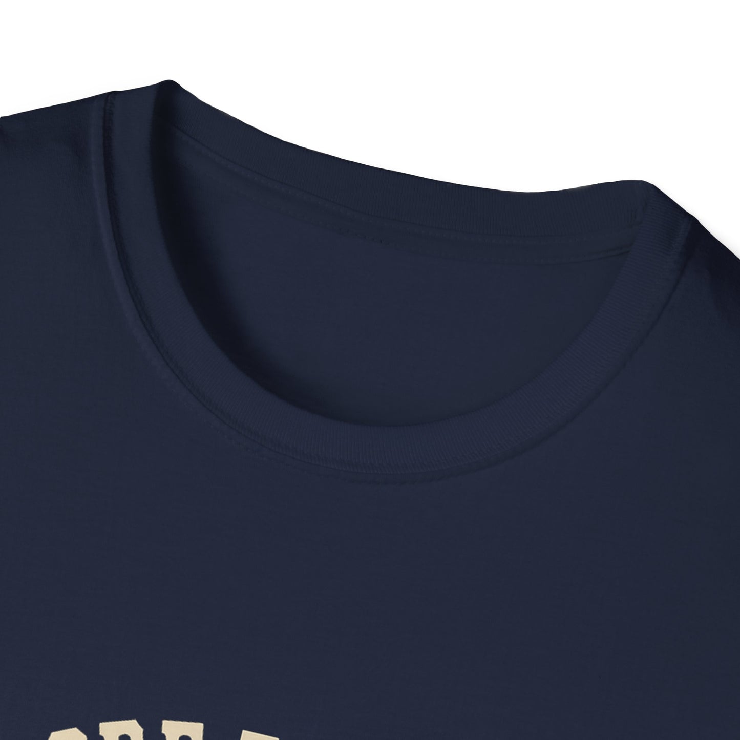 Theodore Roosevelt National Park Bison T-Shirt