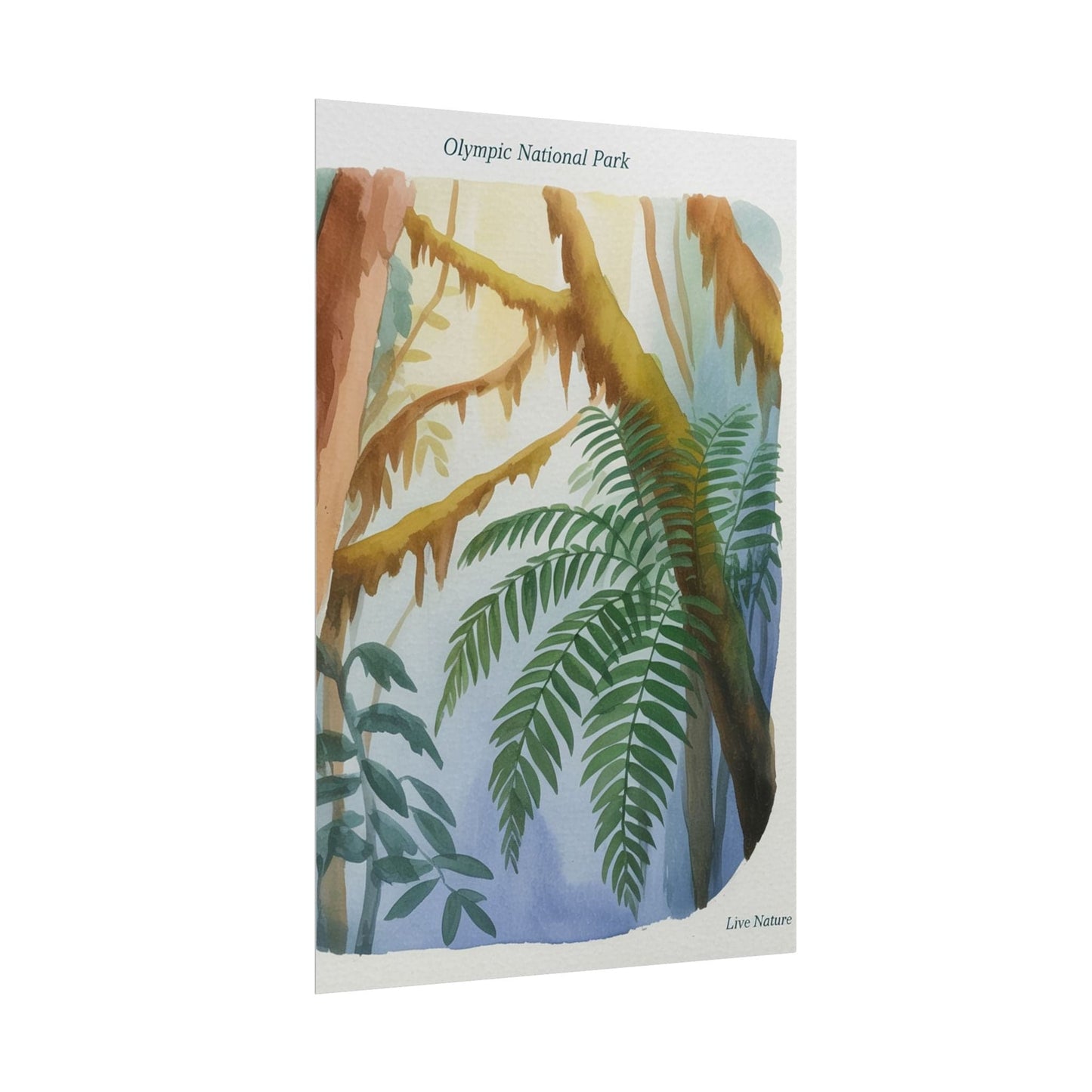 Olympic National Park Watercolor Forest Poster