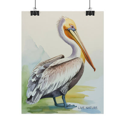 Pelican Watercolor Art Print 'Live Nature' Design