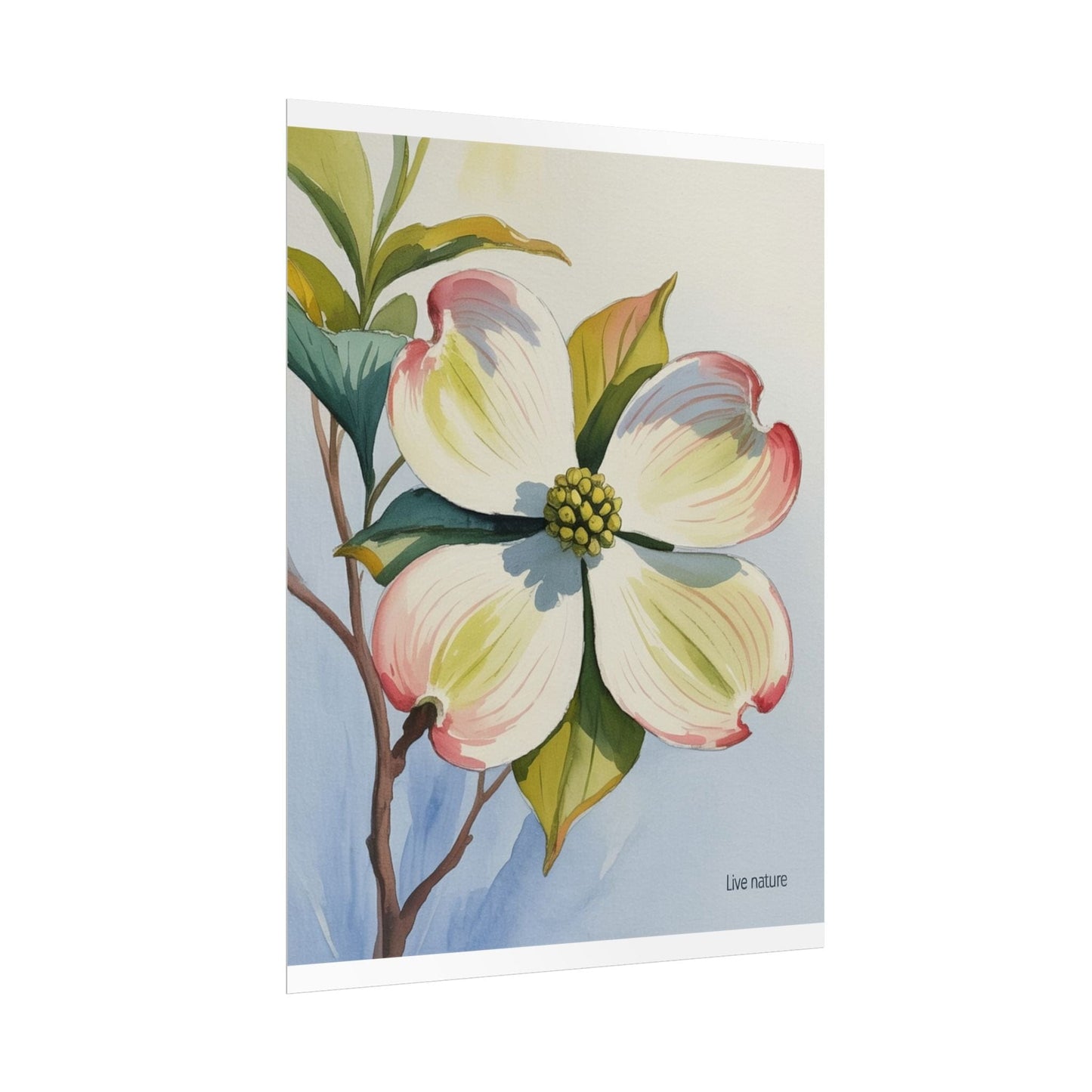 North Carolina Dogwood Watercolor Art Print