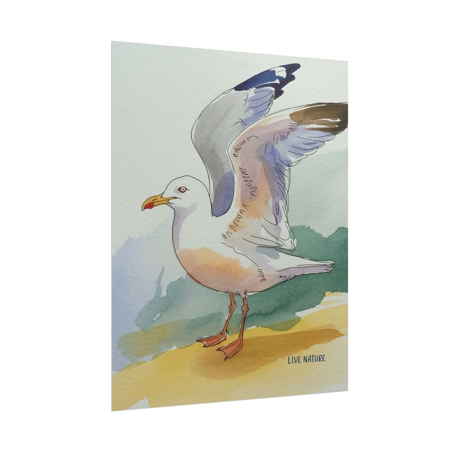Seagull Watercolor Art Print 'Live Nature' Edition