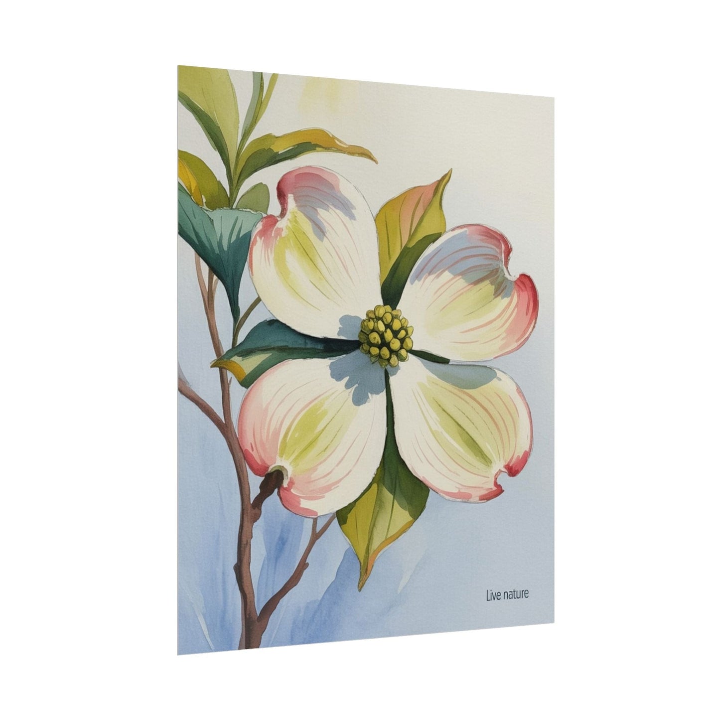 North Carolina Dogwood Watercolor Art Print