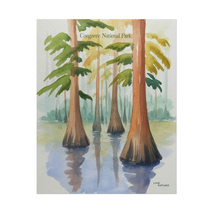 Congaree National Park Cypress Watercolor Poster