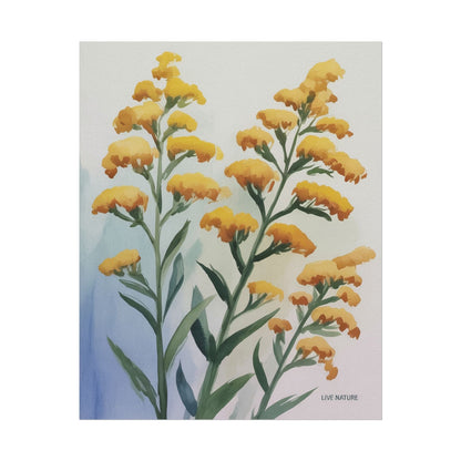 Goldenrod Watercolor Botanical Art Print 'Live Nature