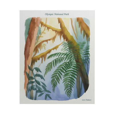 Olympic National Park Watercolor Forest Poster