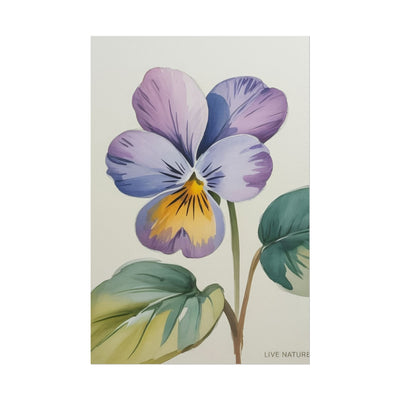 Wisconsin Wood Violet Watercolor Print – State Flower Art