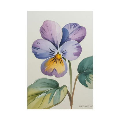 Wisconsin Wood Violet Watercolor Print – State Flower Art