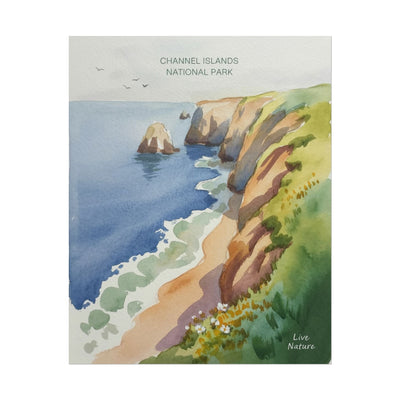 Channel Islands National Park Watercolor Poster Print