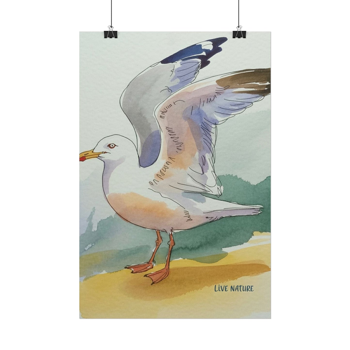 Seagull Watercolor Art Print 'Live Nature' Edition