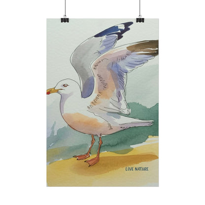 Seagull Watercolor Art Print 'Live Nature' Edition