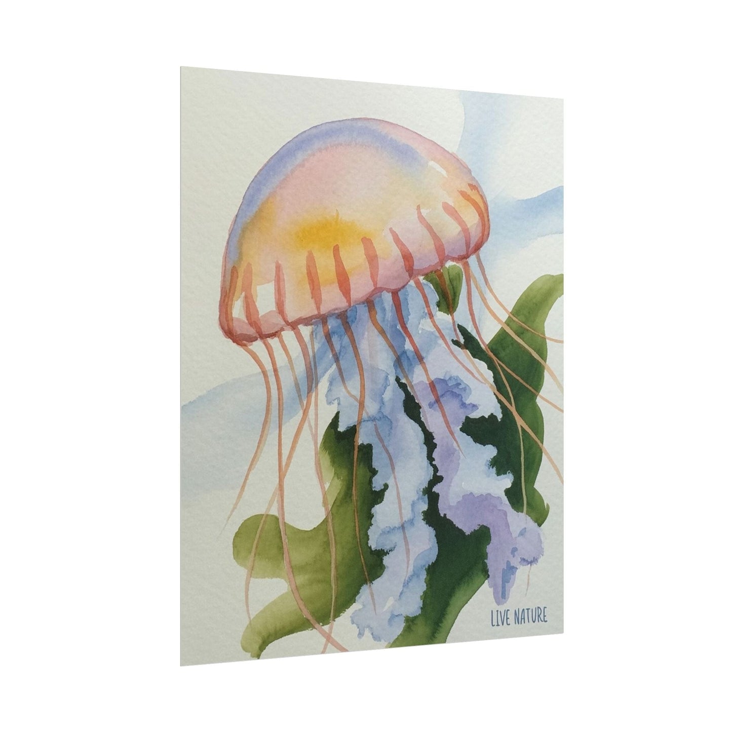 Jellyfish Watercolor Art Print 'Live Nature' Design