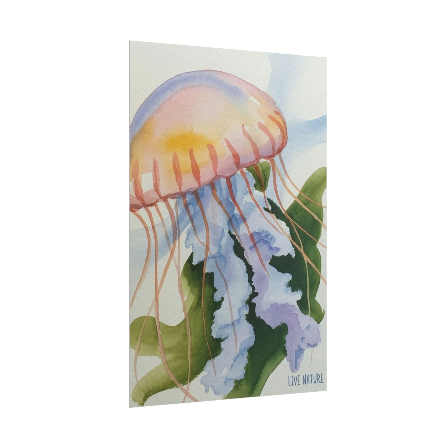 Jellyfish Watercolor Art Print 'Live Nature' Design