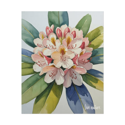 Rhododendron Blossom Watercolor Print 'Live Nature