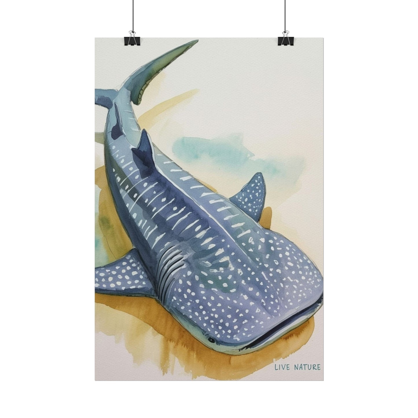 Whale Shark Watercolor Print Live Nature Design