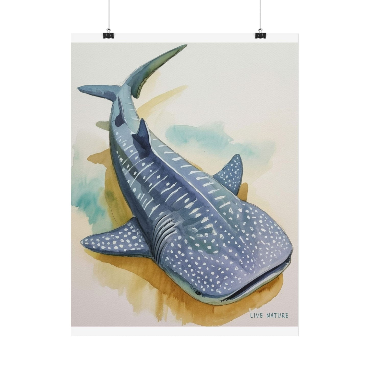 Whale Shark Watercolor Print Live Nature Design