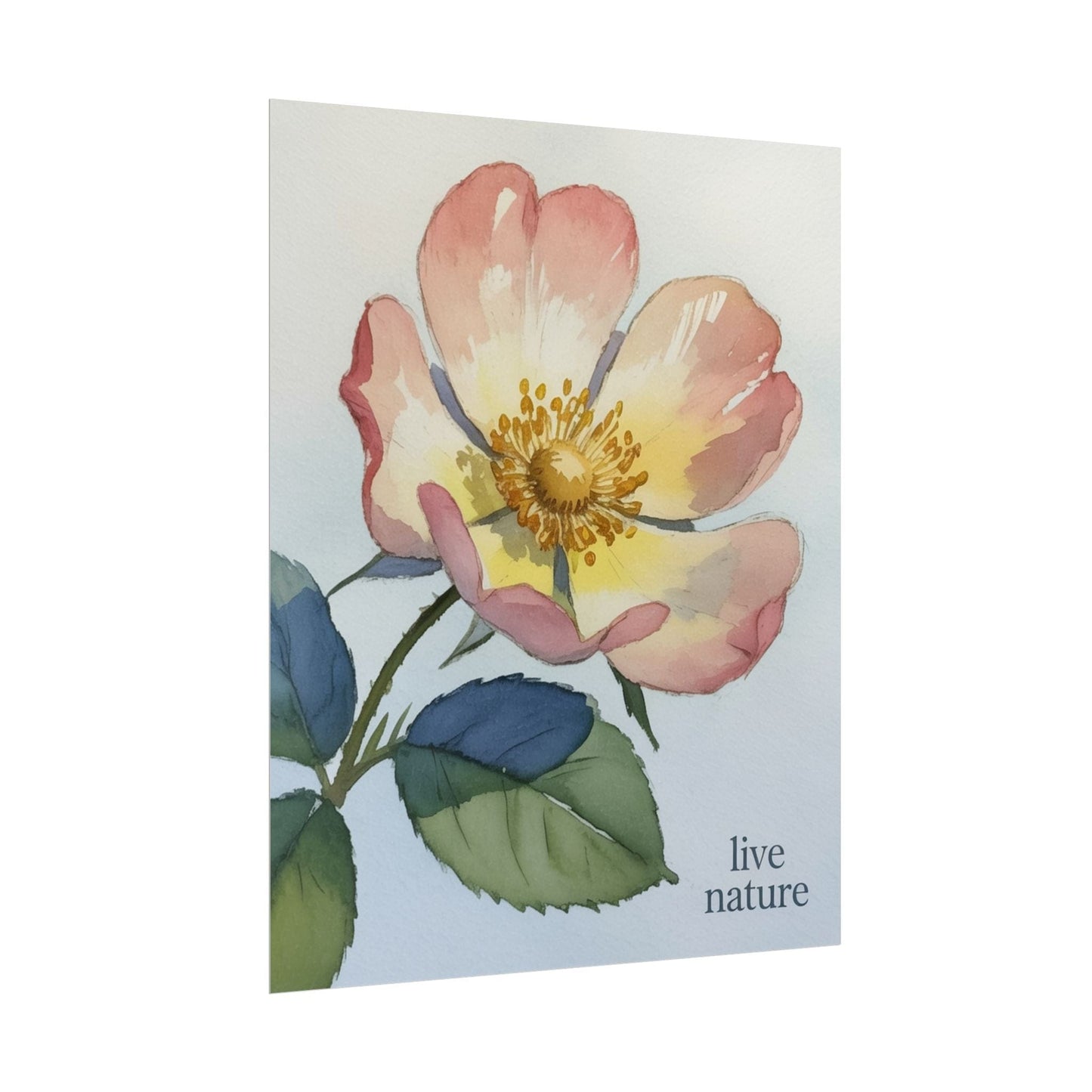 Wild Prairie Rose Watercolor Print with 'Live Nature' Text