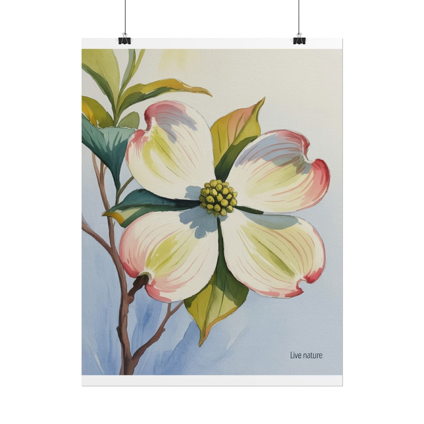 North Carolina Dogwood Watercolor Art Print