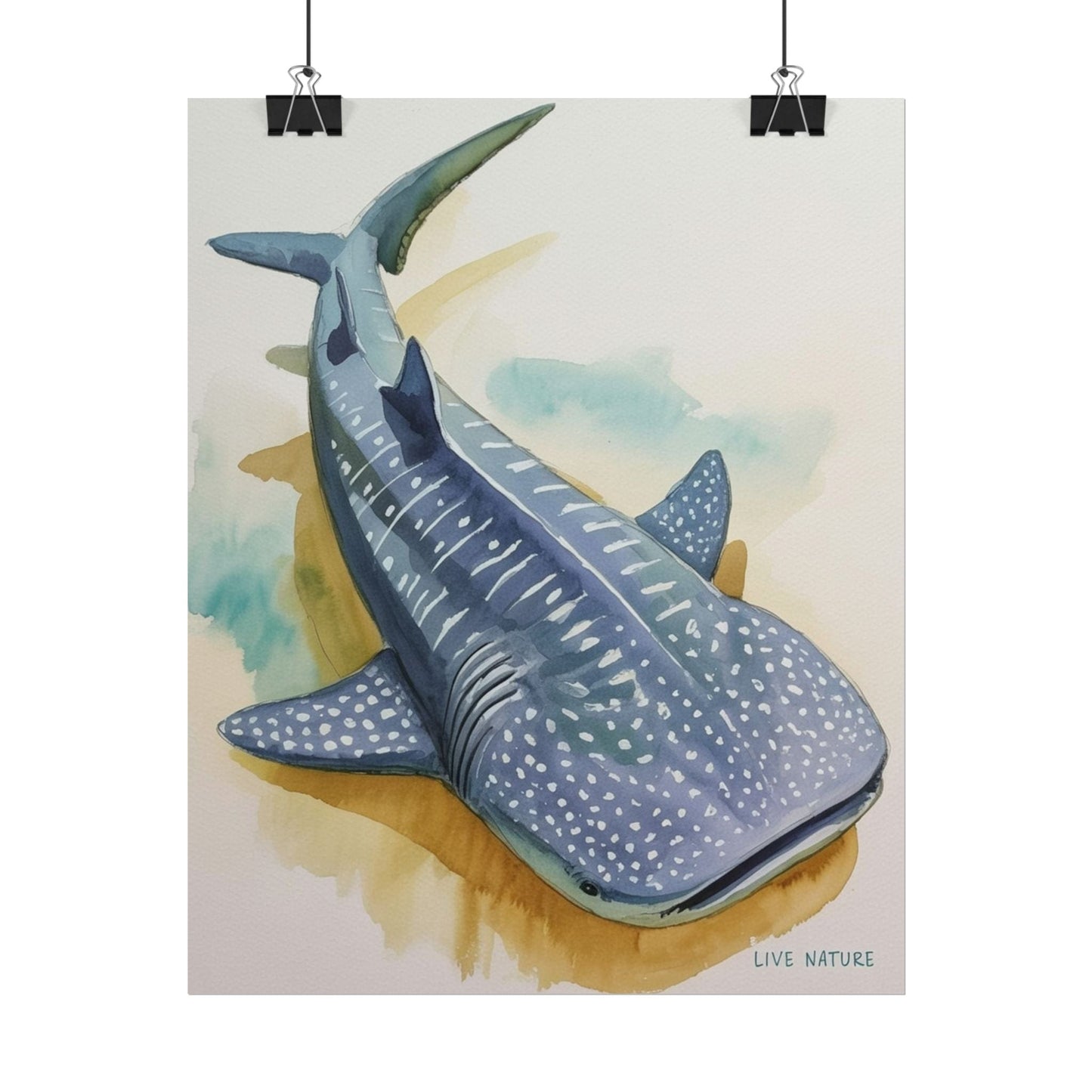 Whale Shark Watercolor Print Live Nature Design