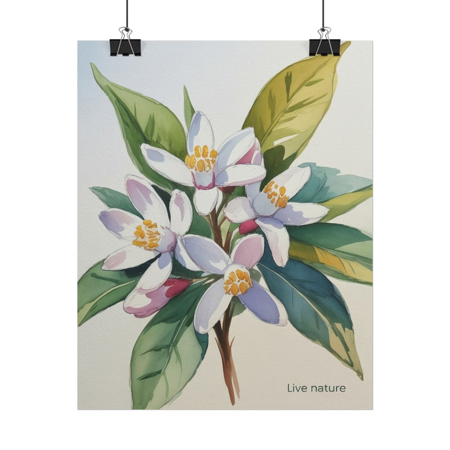 Orange Blossom Floral Watercolor Print 'Live Nature
