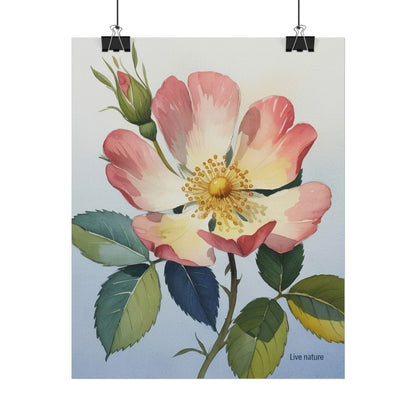 Wild Prairie Rose Watercolor Art Print