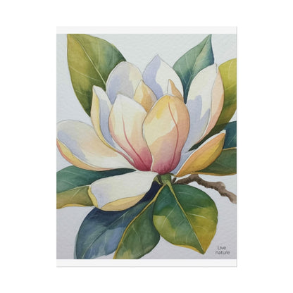Magnolia Blossom Watercolor Print Fine Art Poster
