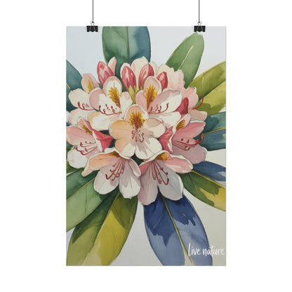 Rhododendron Blossom Watercolor Print 'Live Nature
