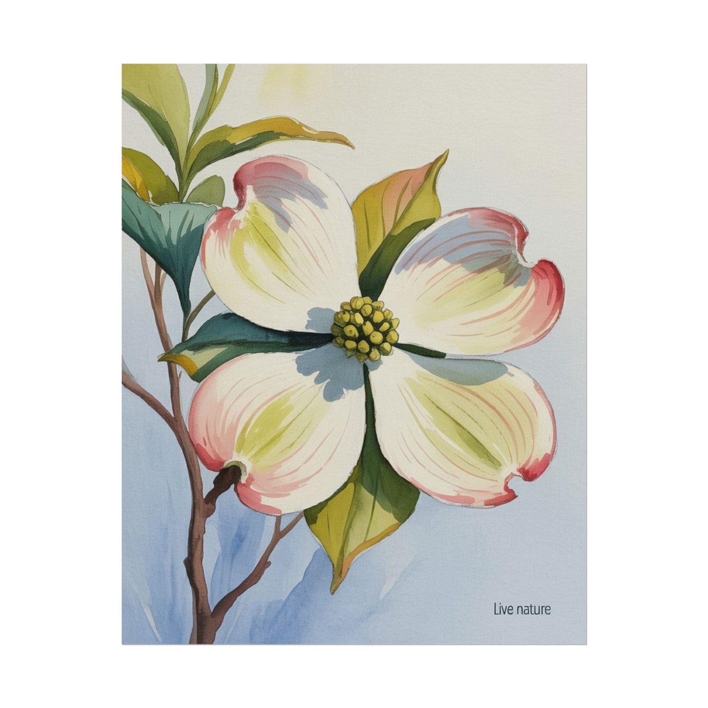 North Carolina Dogwood Watercolor Art Print