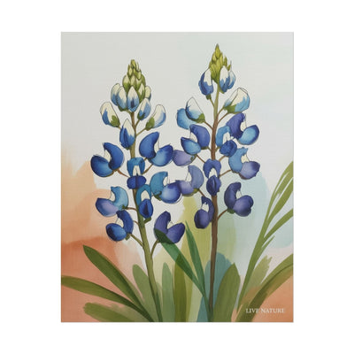 Texas Bluebonnet Watercolor Art Print Matte Finish