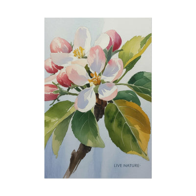 Apple Blossom Watercolor Print 'Live Nature' Design