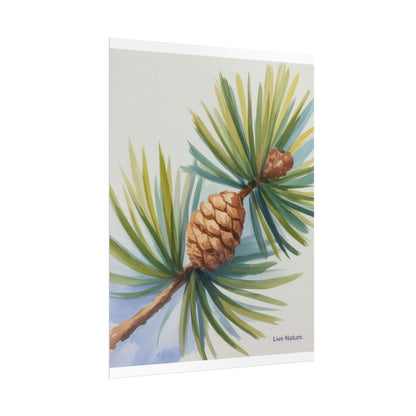 Maine Pine Cone Watercolor Print - Live Nature Art
