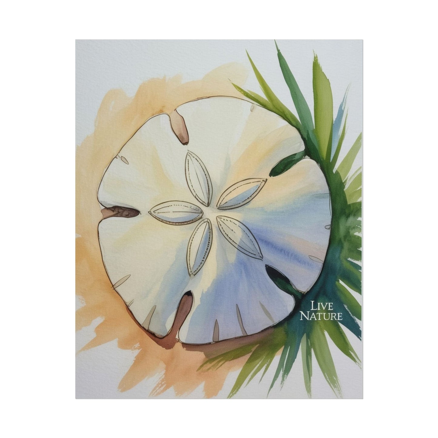 Sand Dollar Watercolor Print with 'Live Nature' Text