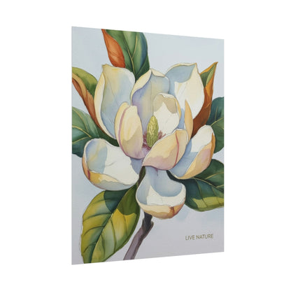 Magnolia Blossom Art Print on Fine Art Paper
