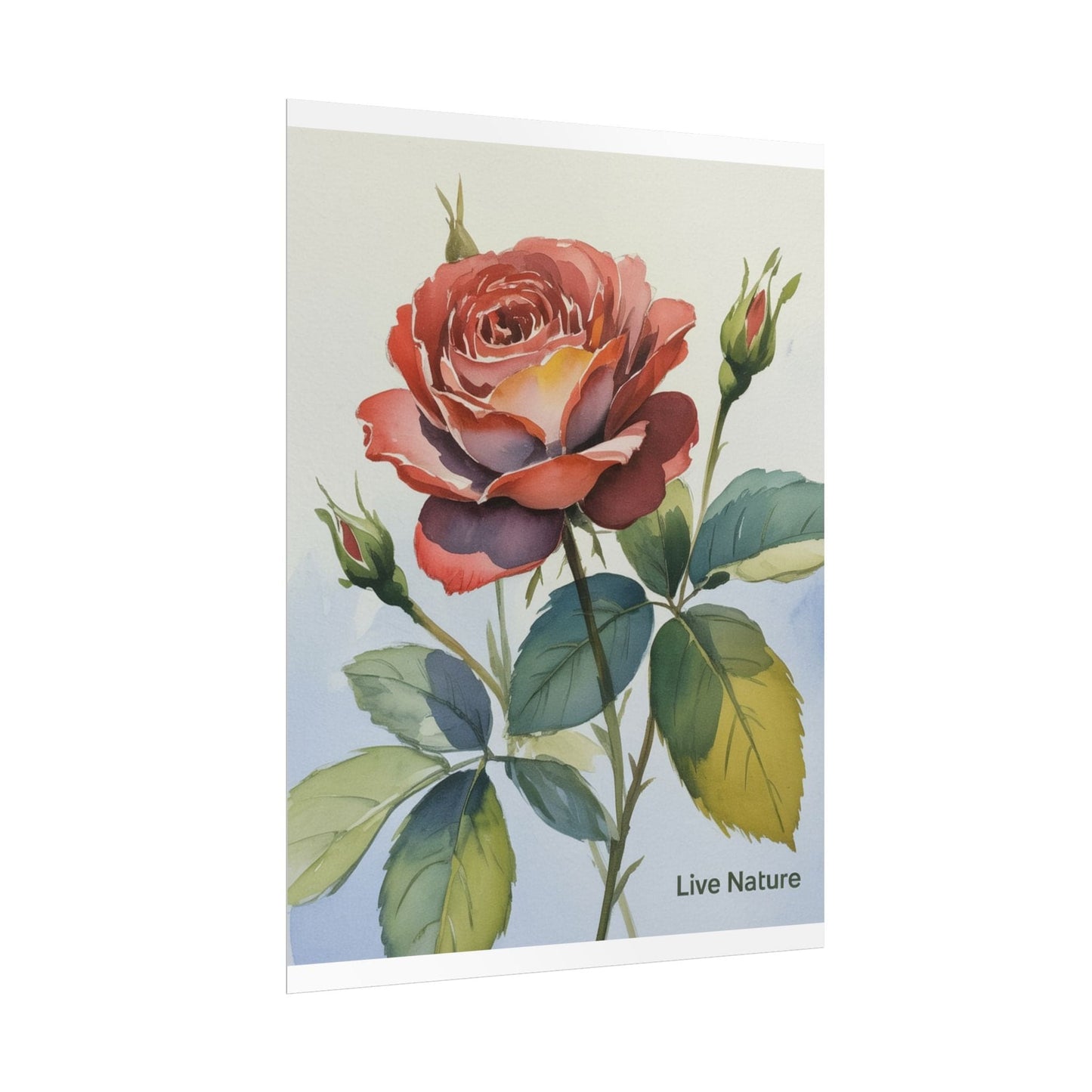 Live Nature Watercolor Rose Art Print Poster