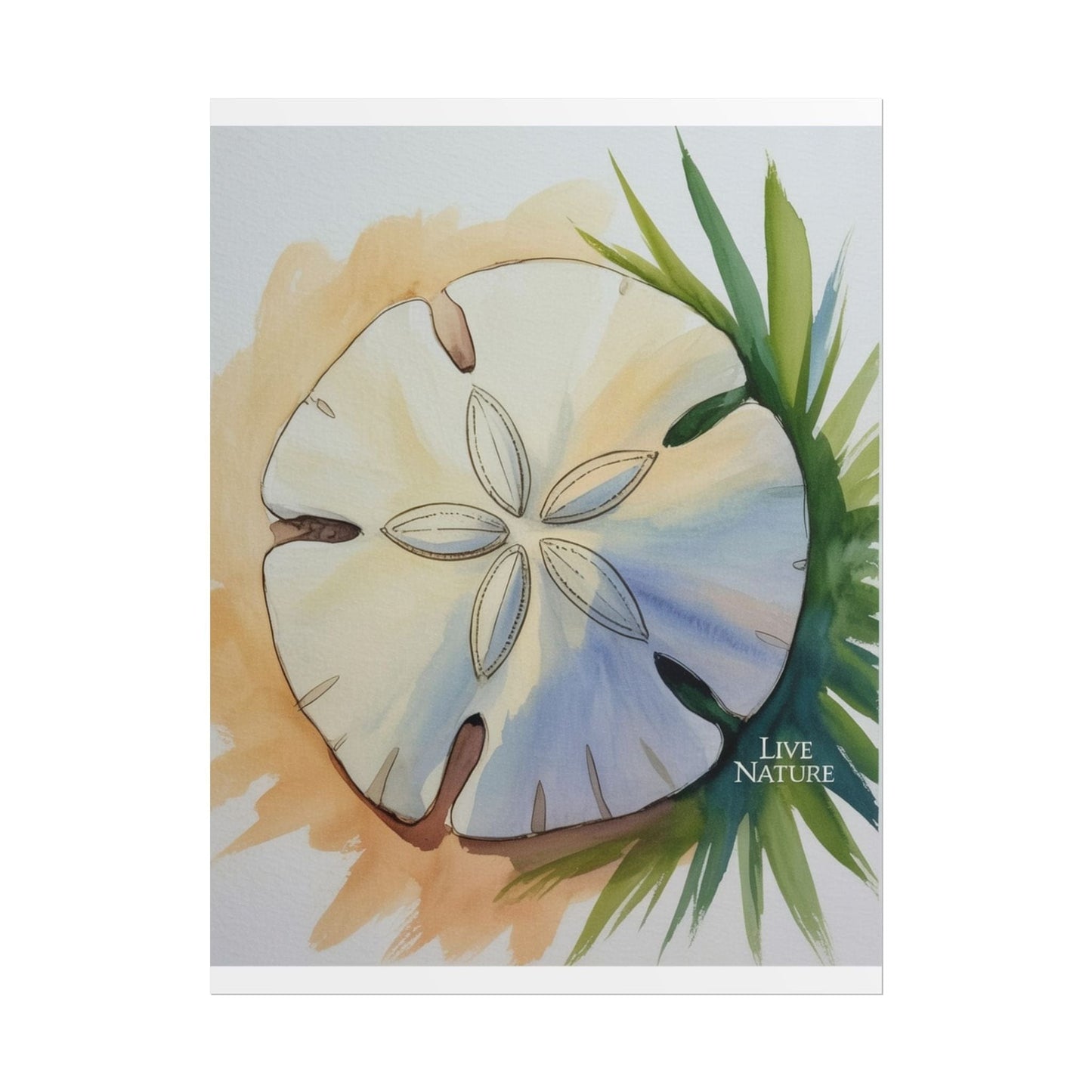 Sand Dollar Watercolor Print with 'Live Nature' Text