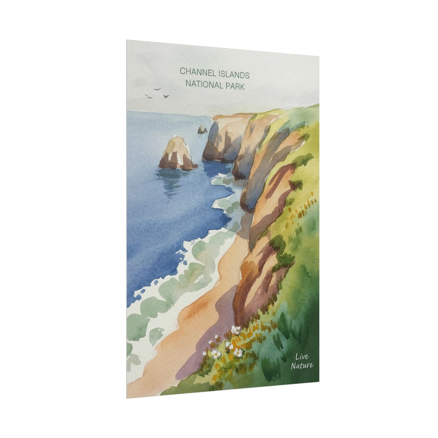 Channel Islands National Park Watercolor Poster Print