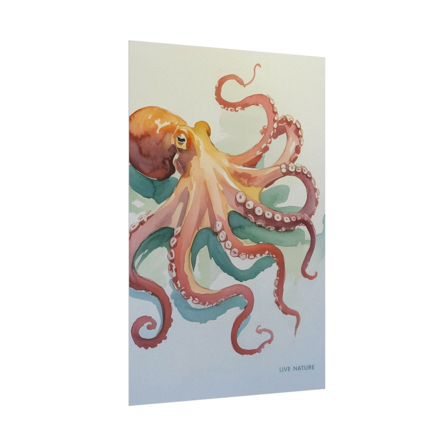 Watercolor Octopus Live Nature Art Print Poster