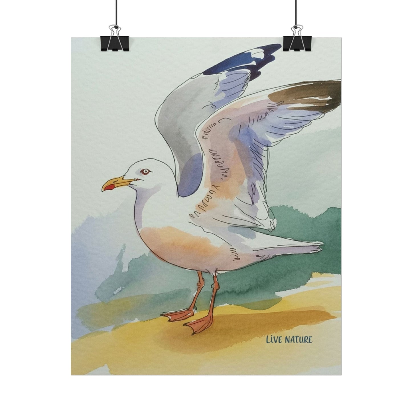 Seagull Watercolor Art Print 'Live Nature' Edition