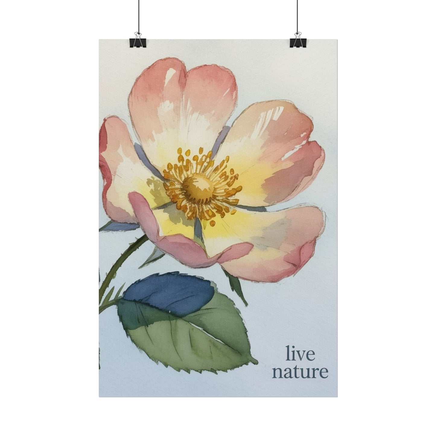 Wild Prairie Rose Watercolor Print with 'Live Nature' Text