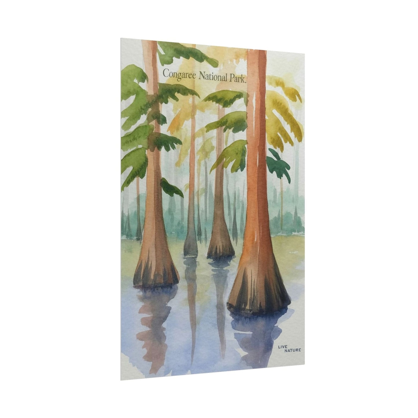 Congaree National Park Cypress Watercolor Poster