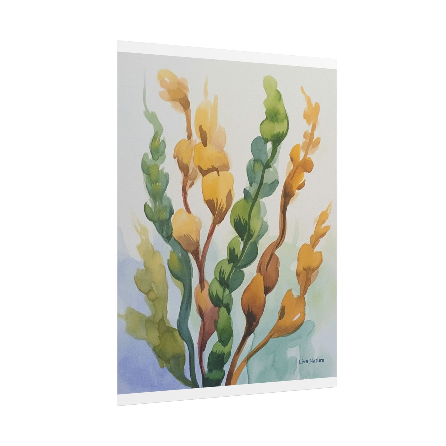 Seaweed Watercolor Art Print Coastal Nature Design