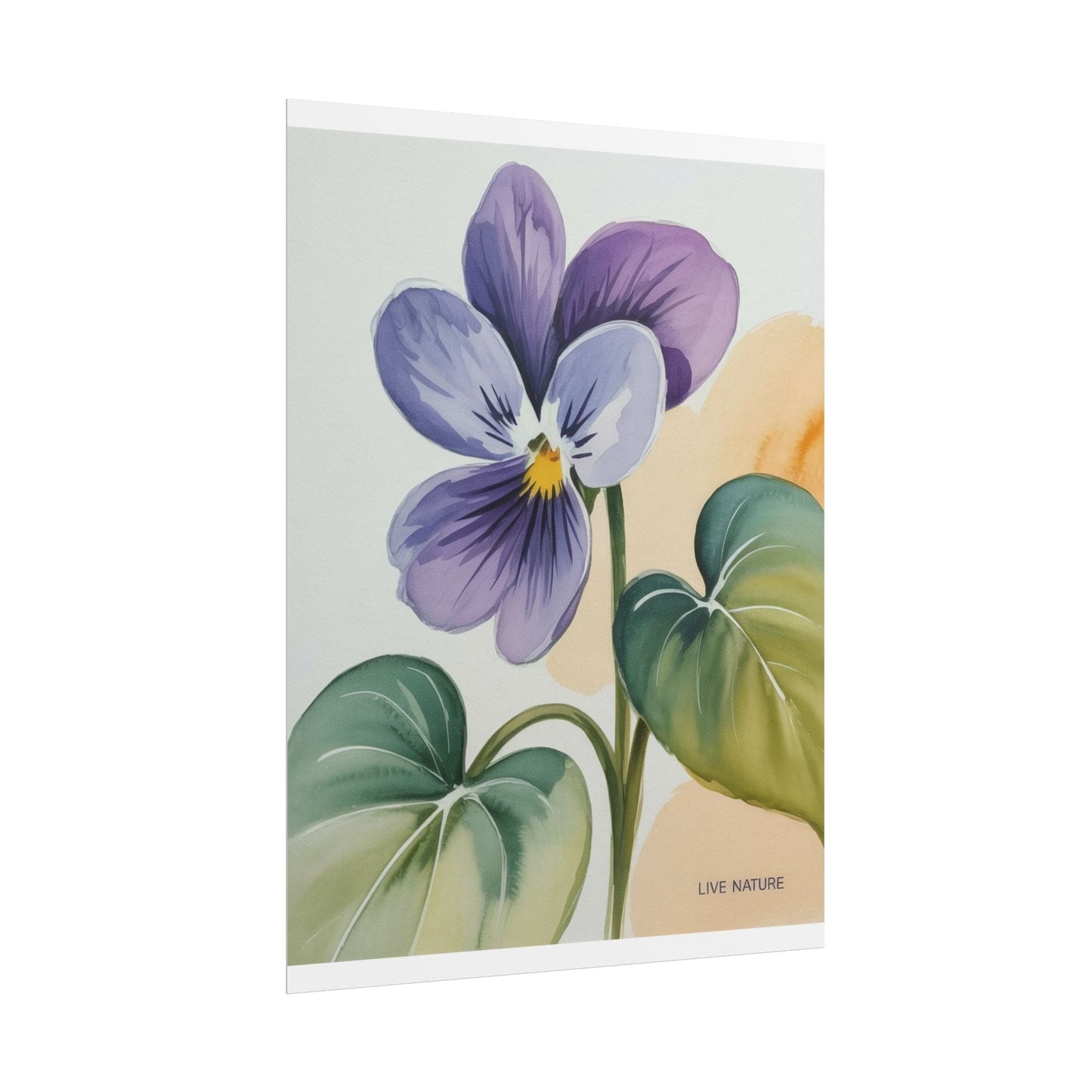 Prairie Violet Botanical Art Print - Live Nature Design