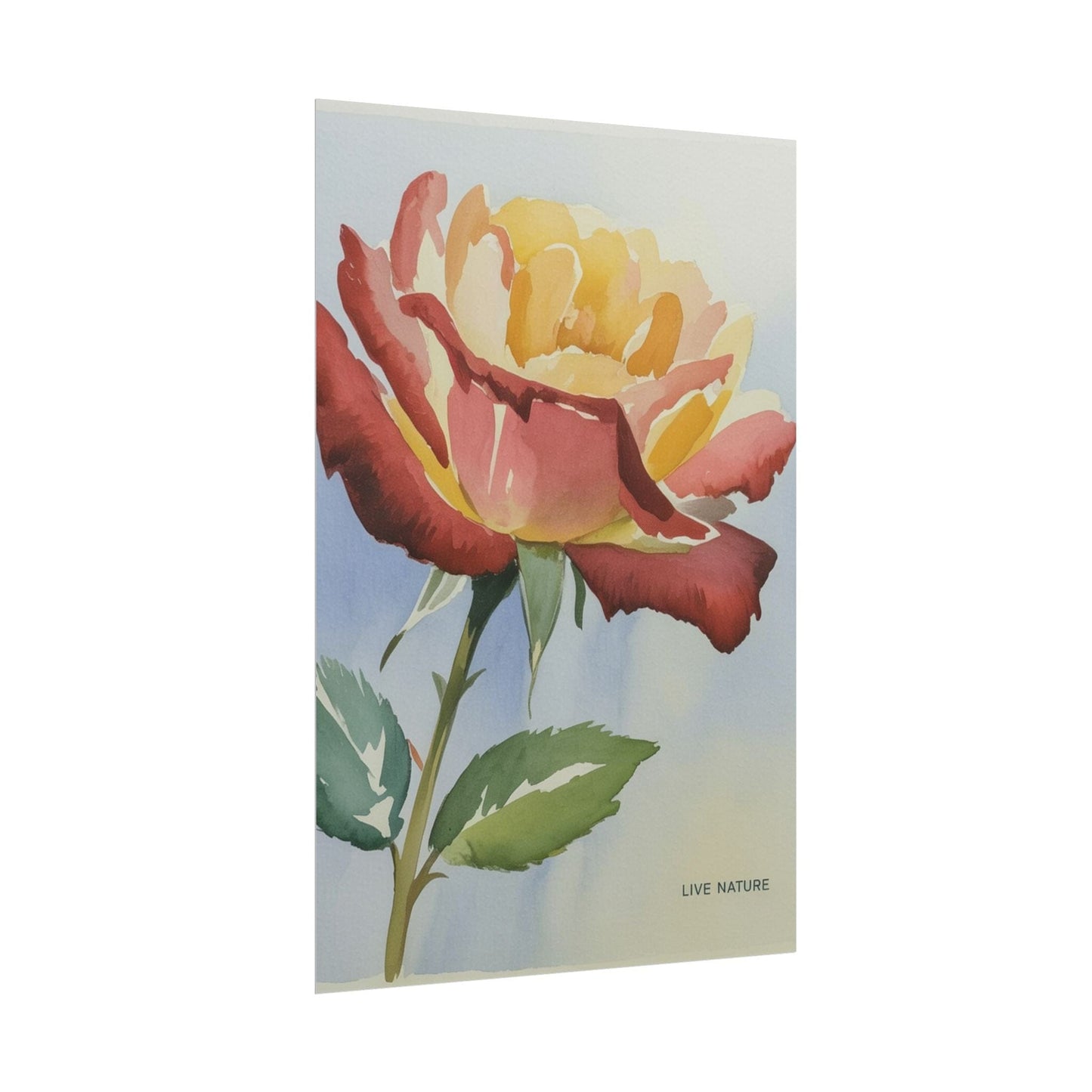 New York State Rose Watercolor Art Print