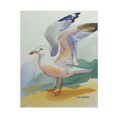 Seagull Watercolor Art Print 'Live Nature' Edition
