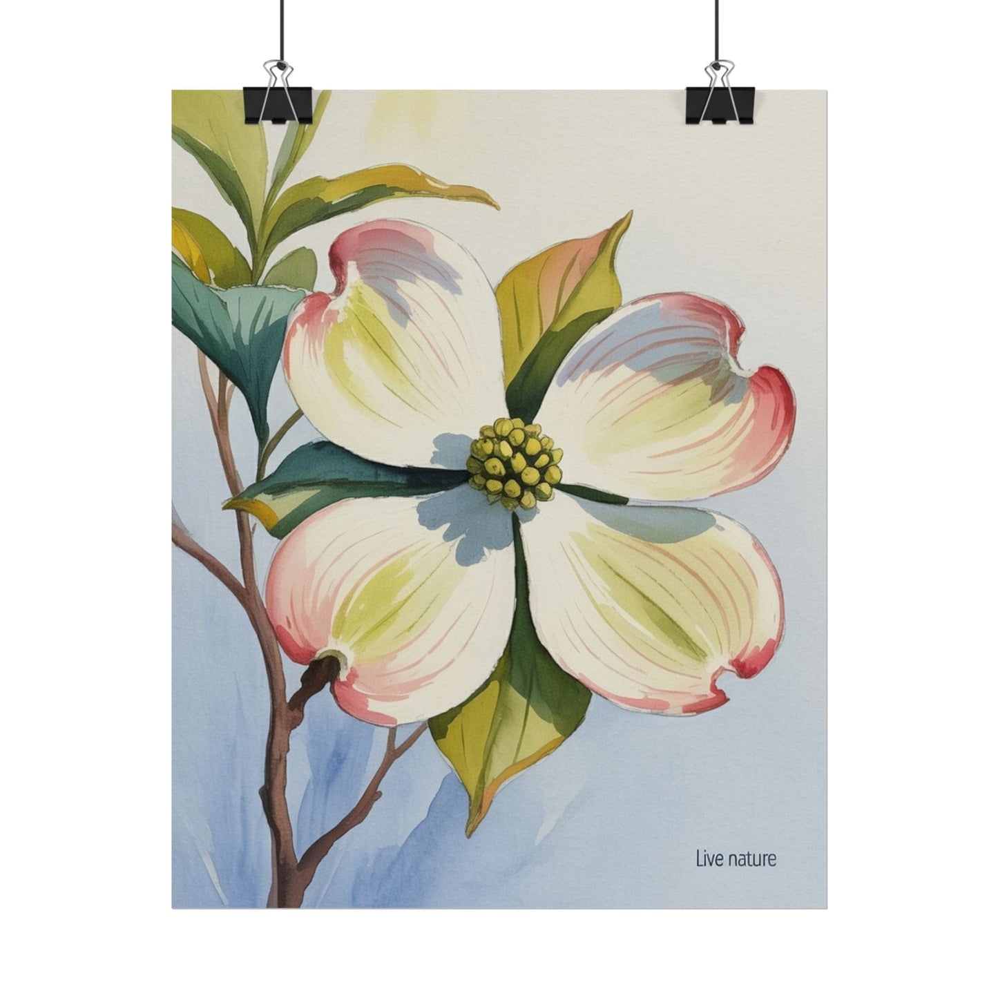 North Carolina Dogwood Watercolor Art Print